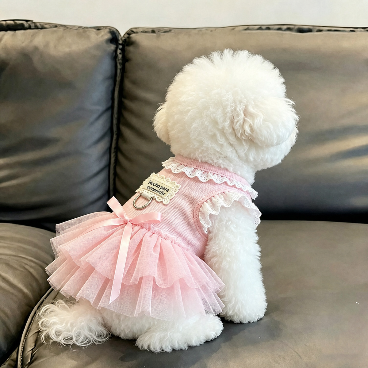 Vestido con encaje para perrita - 3