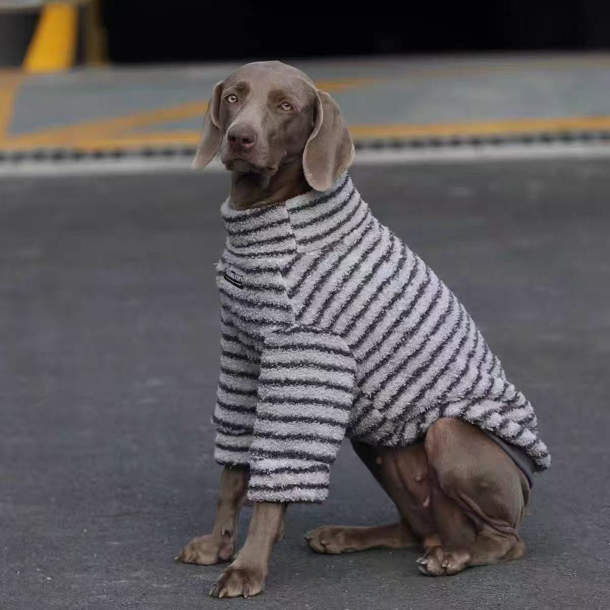 Sudadera para Perro Grande con Rayas Otoño-Invierno