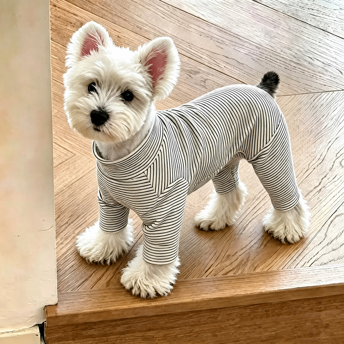 Suéter de rayas para perro pequeño - 1