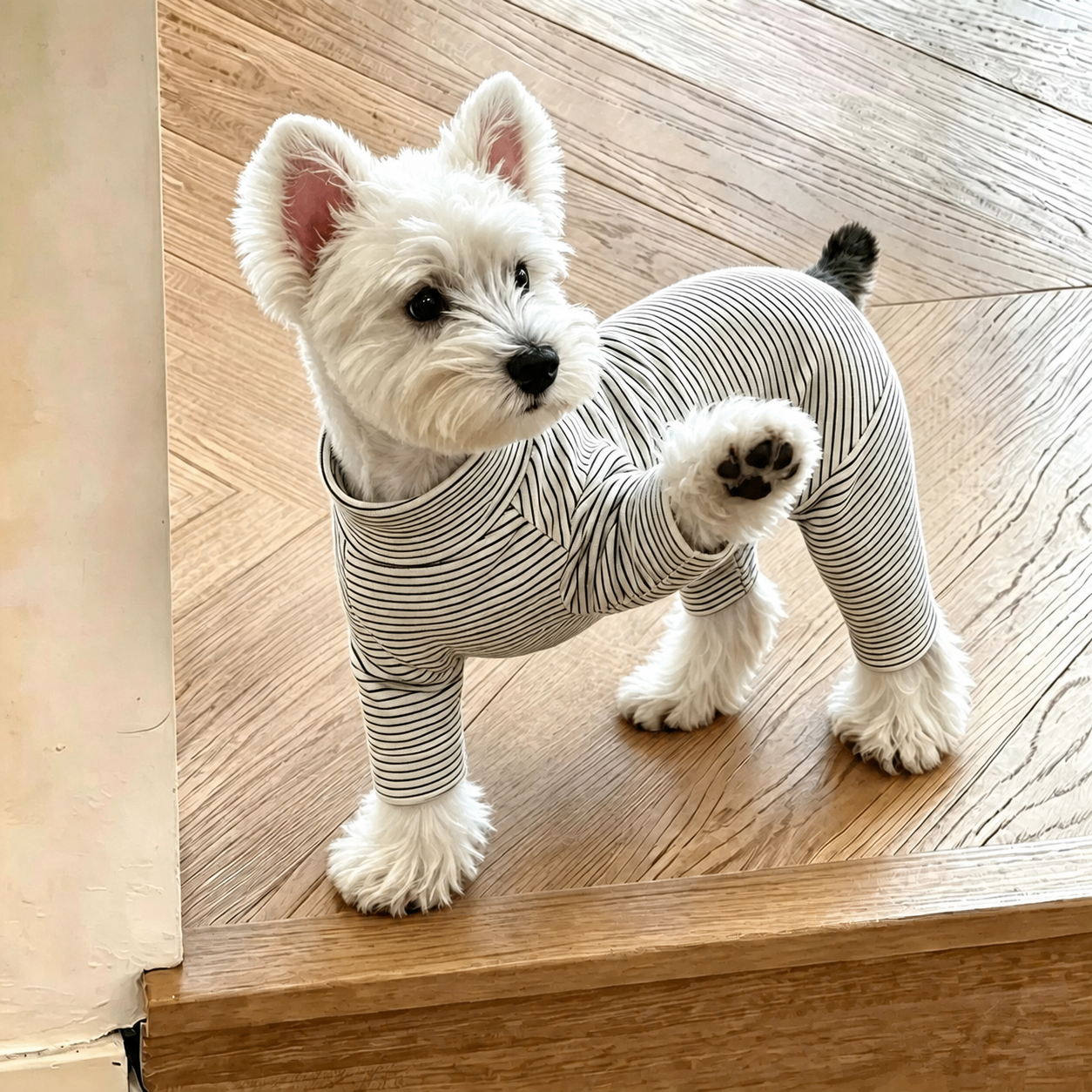 Suéter de rayas para perro pequeño - 3