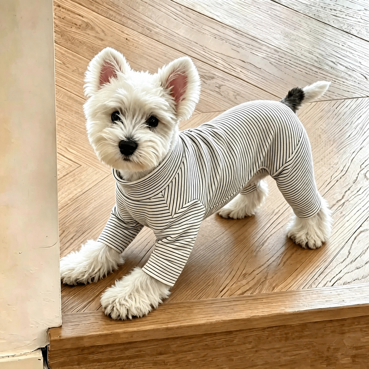 Suéter de rayas para perro pequeño - 4