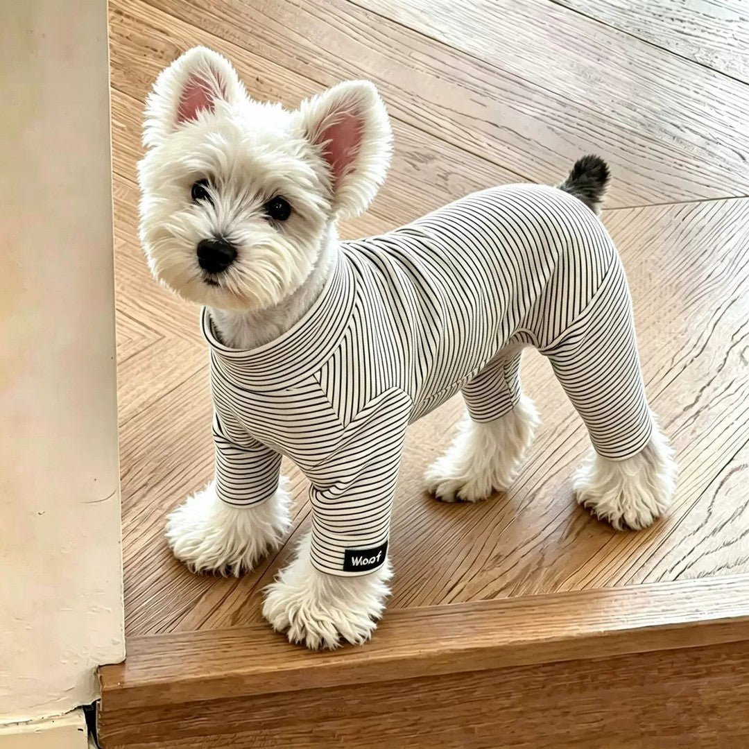 Suéter de rayas para perro pequeño