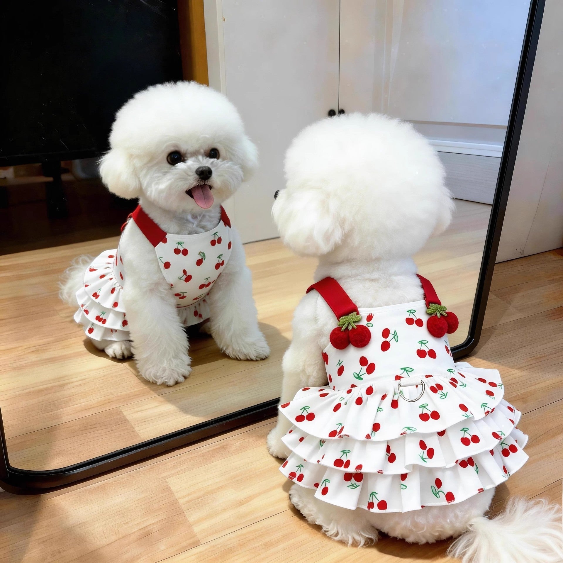 Vestido de Princesa para Perrita - 1