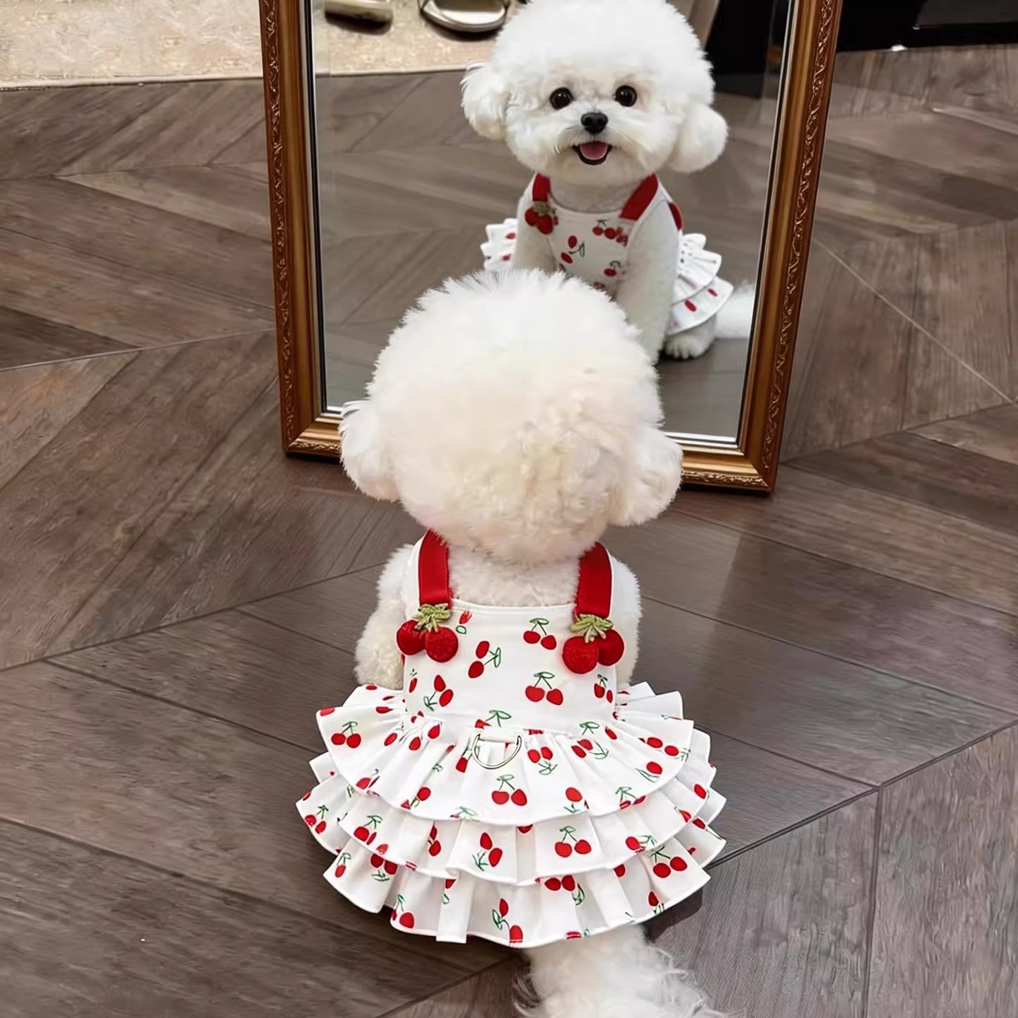 Vestido de Princesa para Perrita - 2