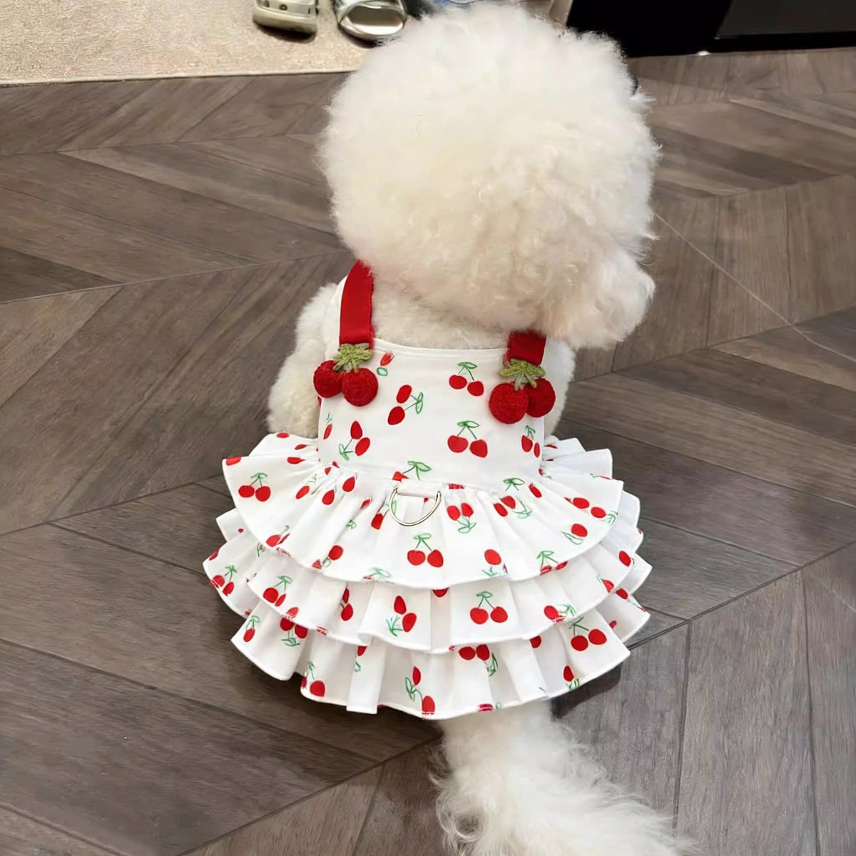 Vestido de Princesa para Perrita - 3