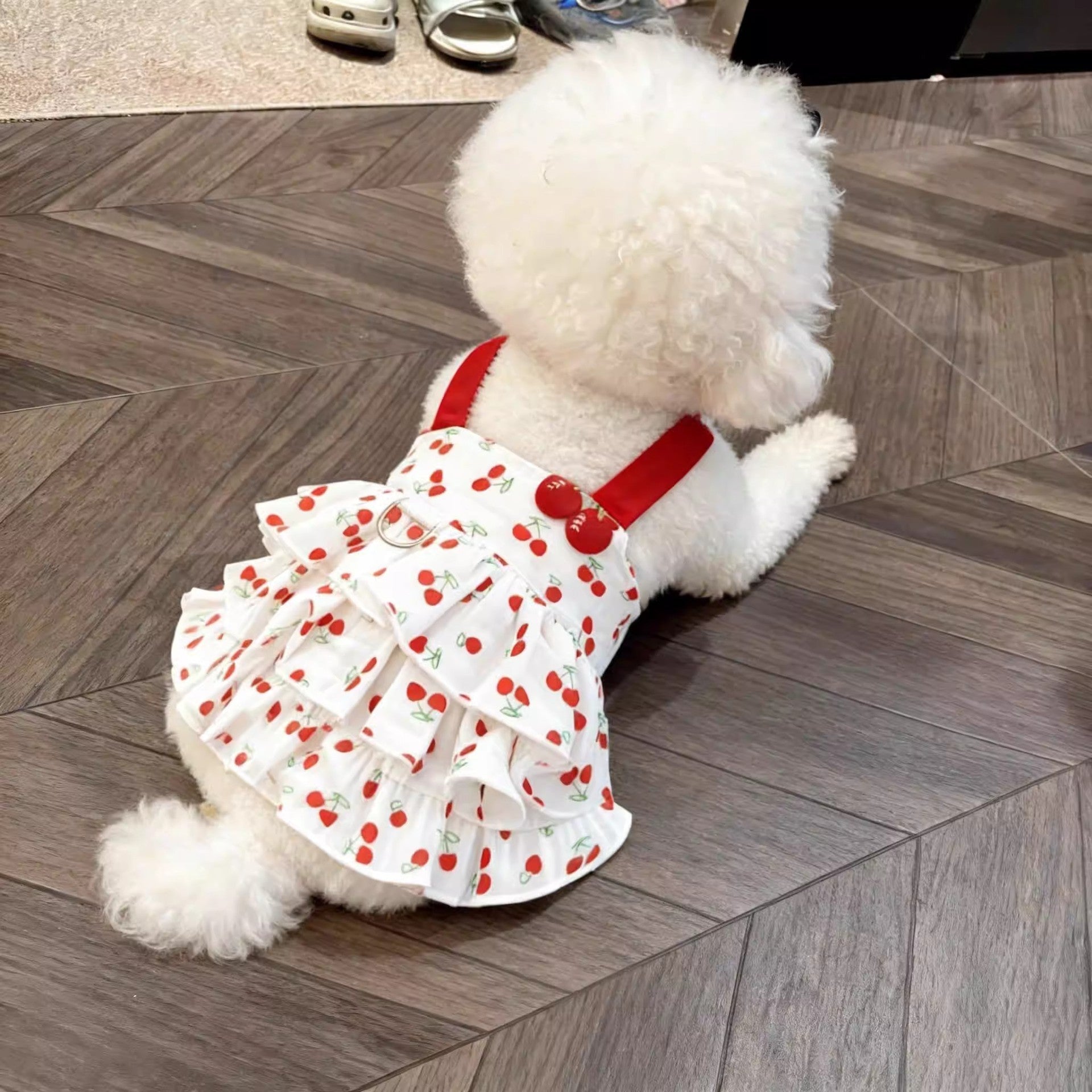 Vestido de Princesa para Perrita - 4