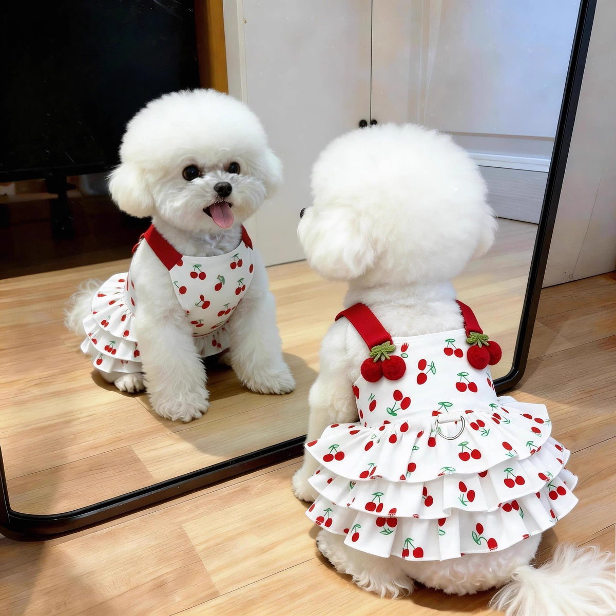 Vestido de Princesa para Perrita - 6