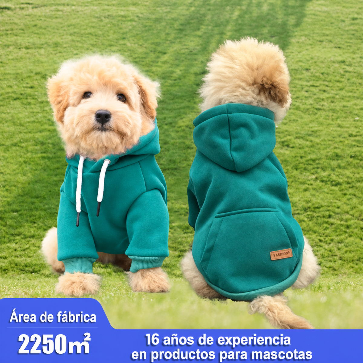 Sudadera con Gorro para Perro - 1