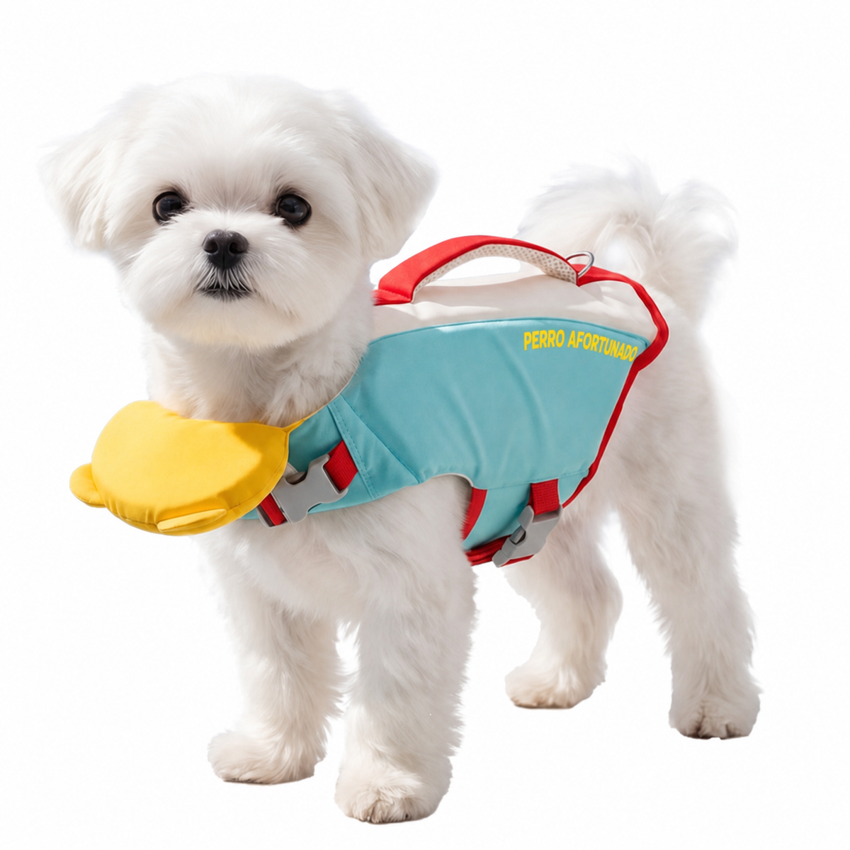 Chaleco Salvavidas para Perro con Alta Flotabilidad - 5