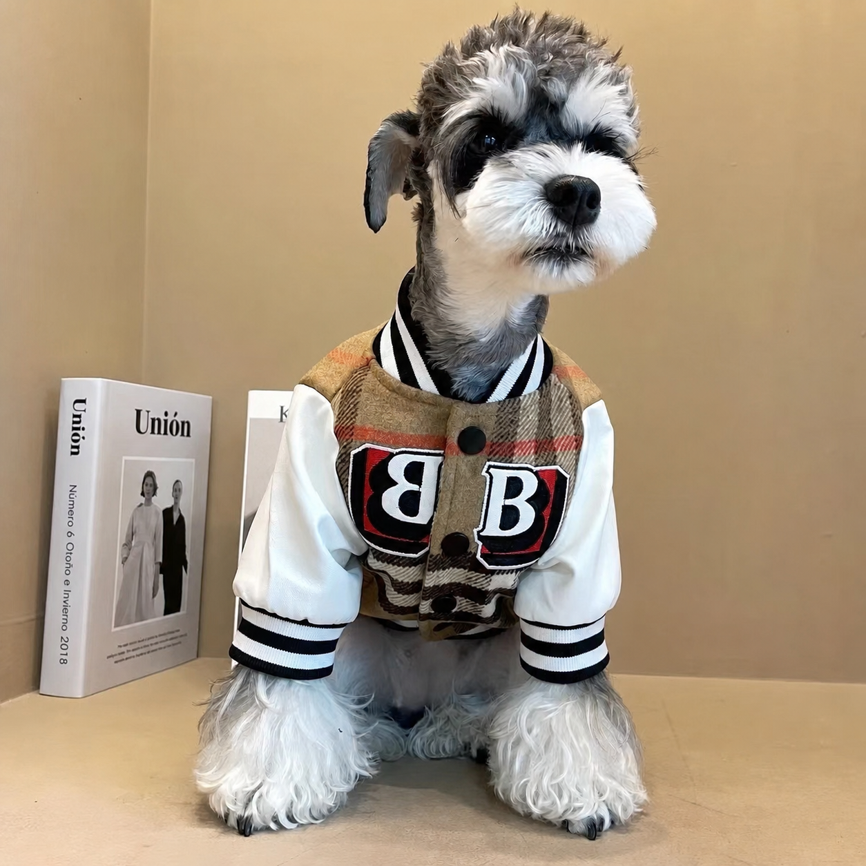 Chamarra Beisbolera para Perro - 4