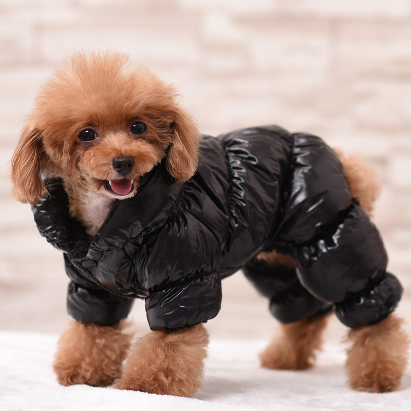 Chamarra de invierno para perro pequeño - 1