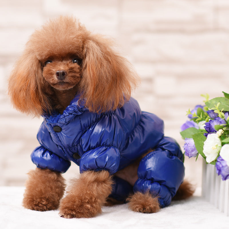 Chamarra de invierno para perro pequeño