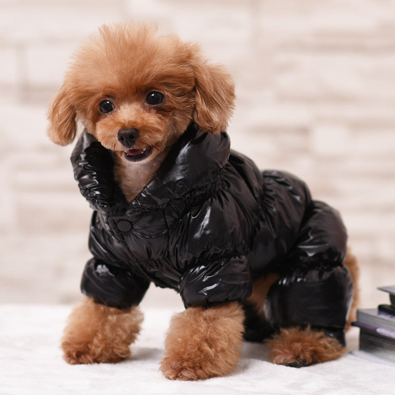 Chamarra de invierno para perro pequeño