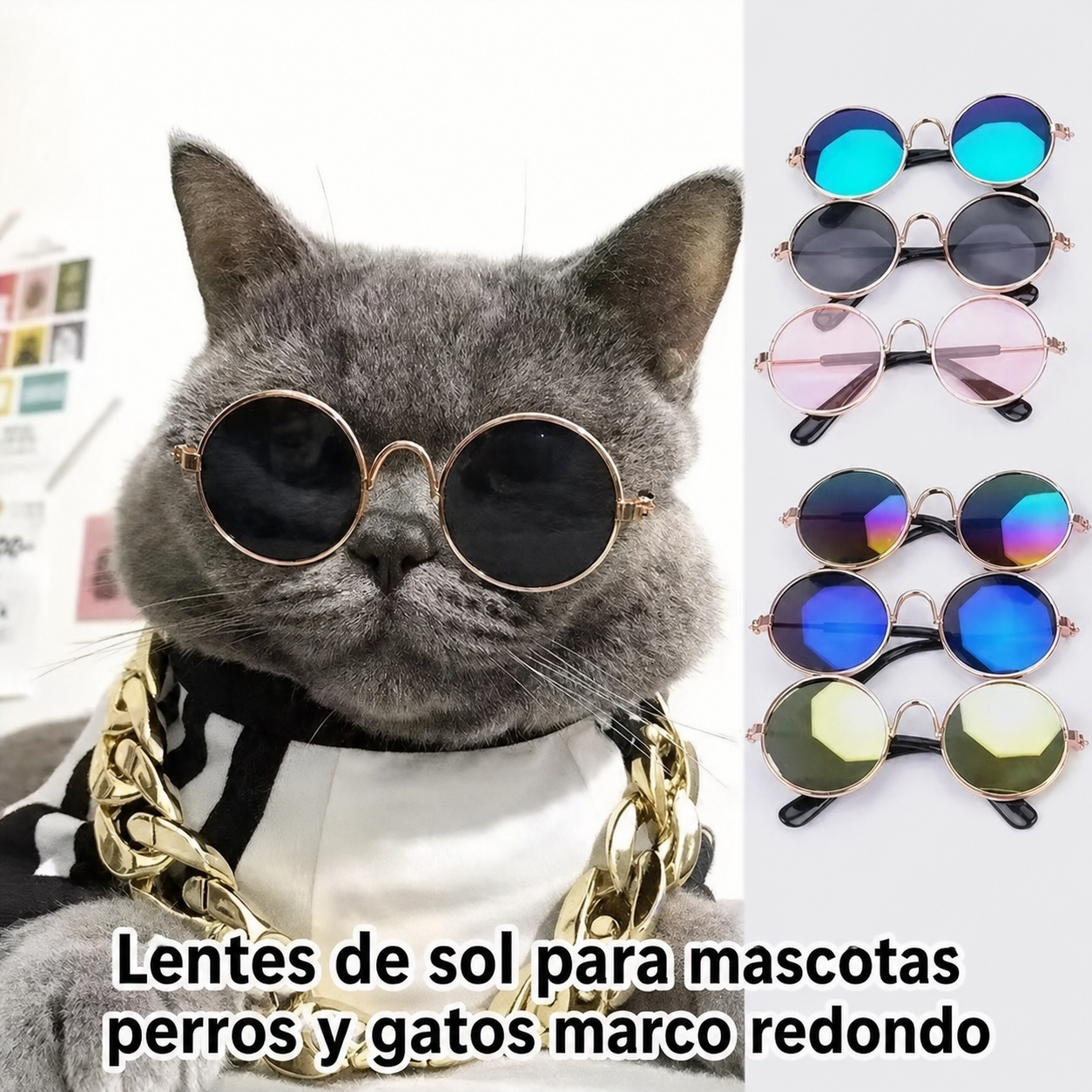 Lentes de Sol  redondos para Mascotas - 3