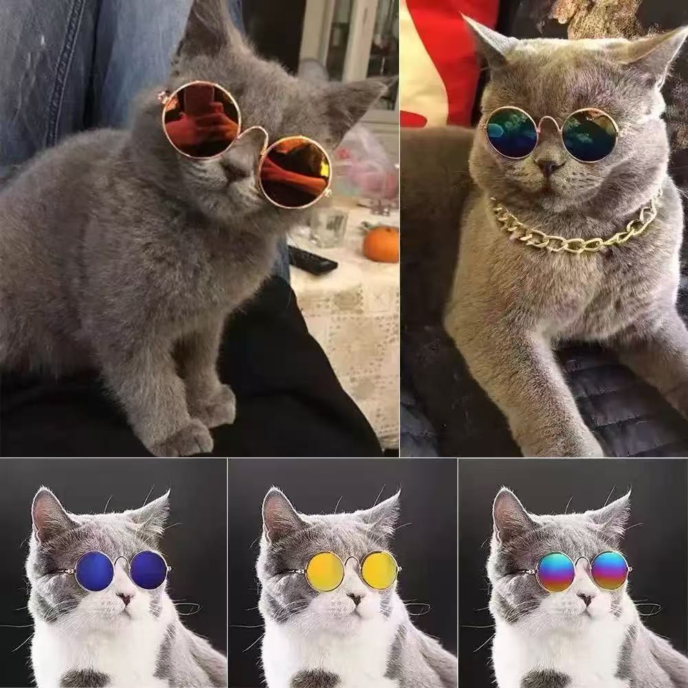 Lentes de Sol  redondos para Mascotas - 4