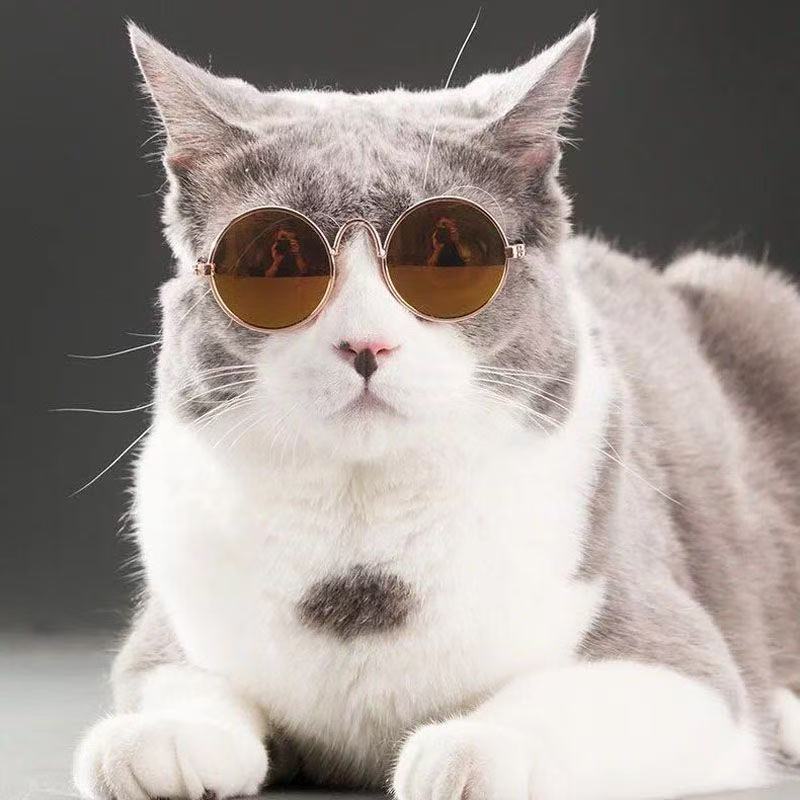 Lentes de Sol  redondos para Mascotas
