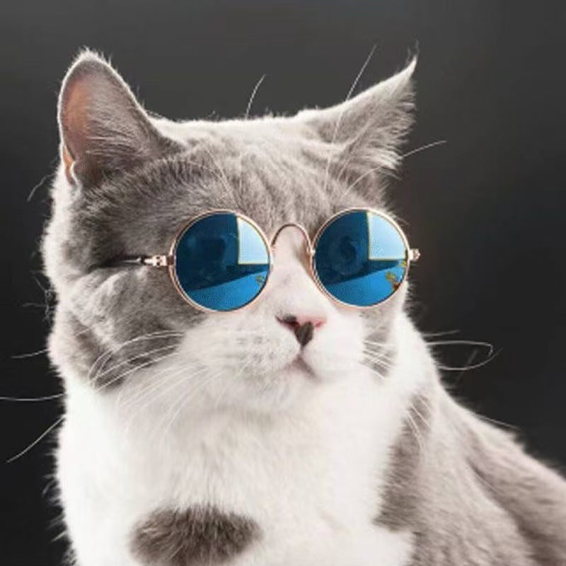 Lentes de Sol  redondos para Mascotas
