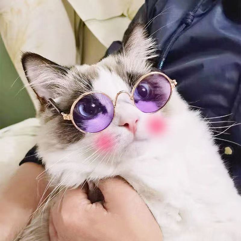 Lentes de Sol  redondos para Mascotas