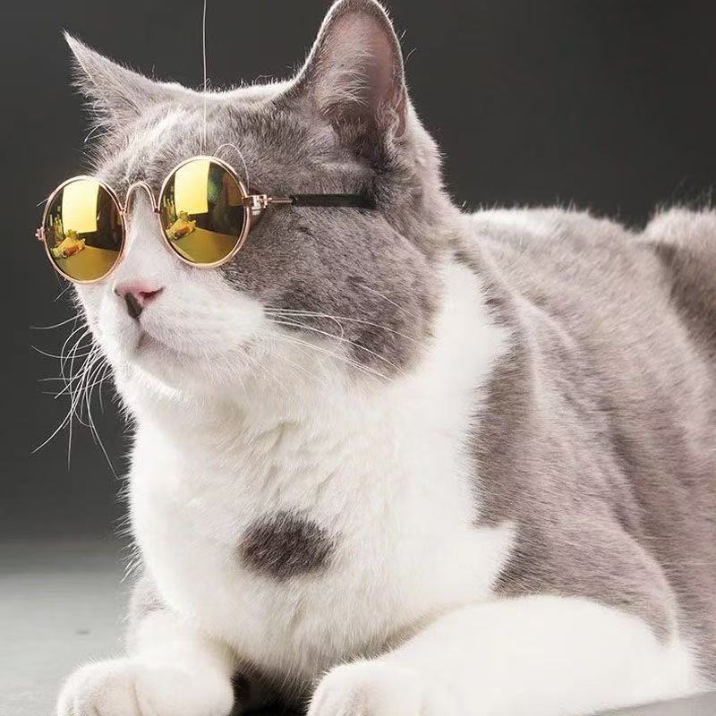 Lentes de Sol  redondos para Mascotas