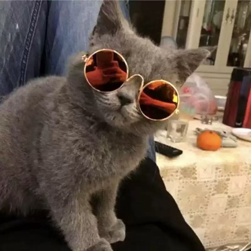 Lentes de Sol  redondos para Mascotas