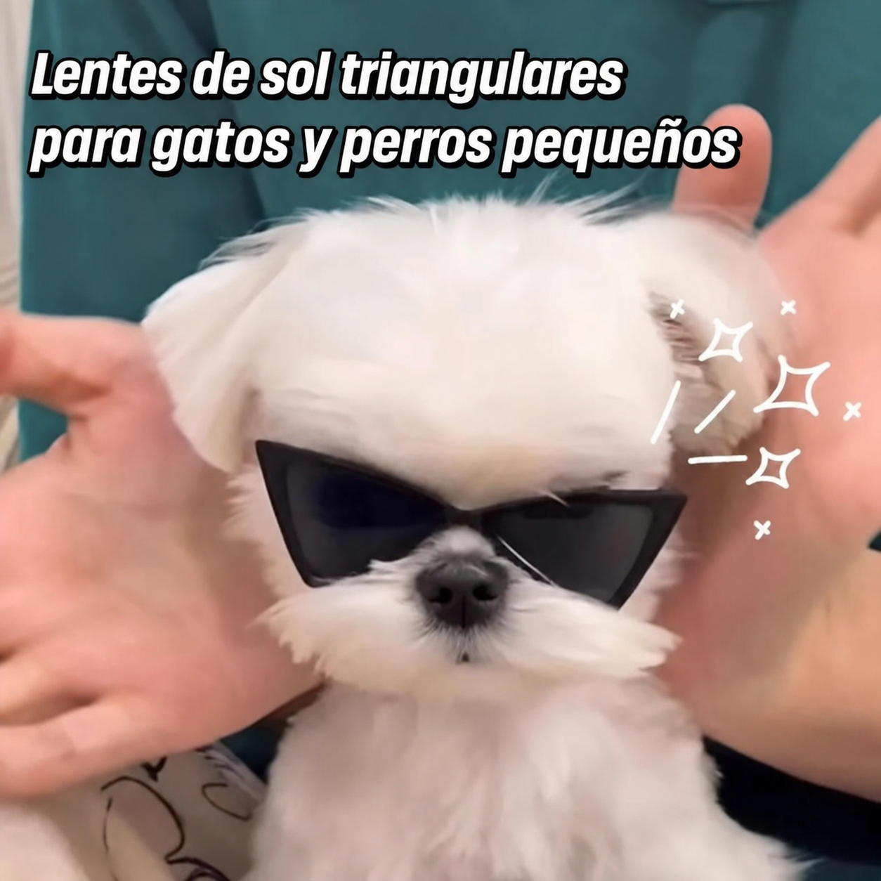 Lentes de sol triangulares para gatos y perros pequeños - 2