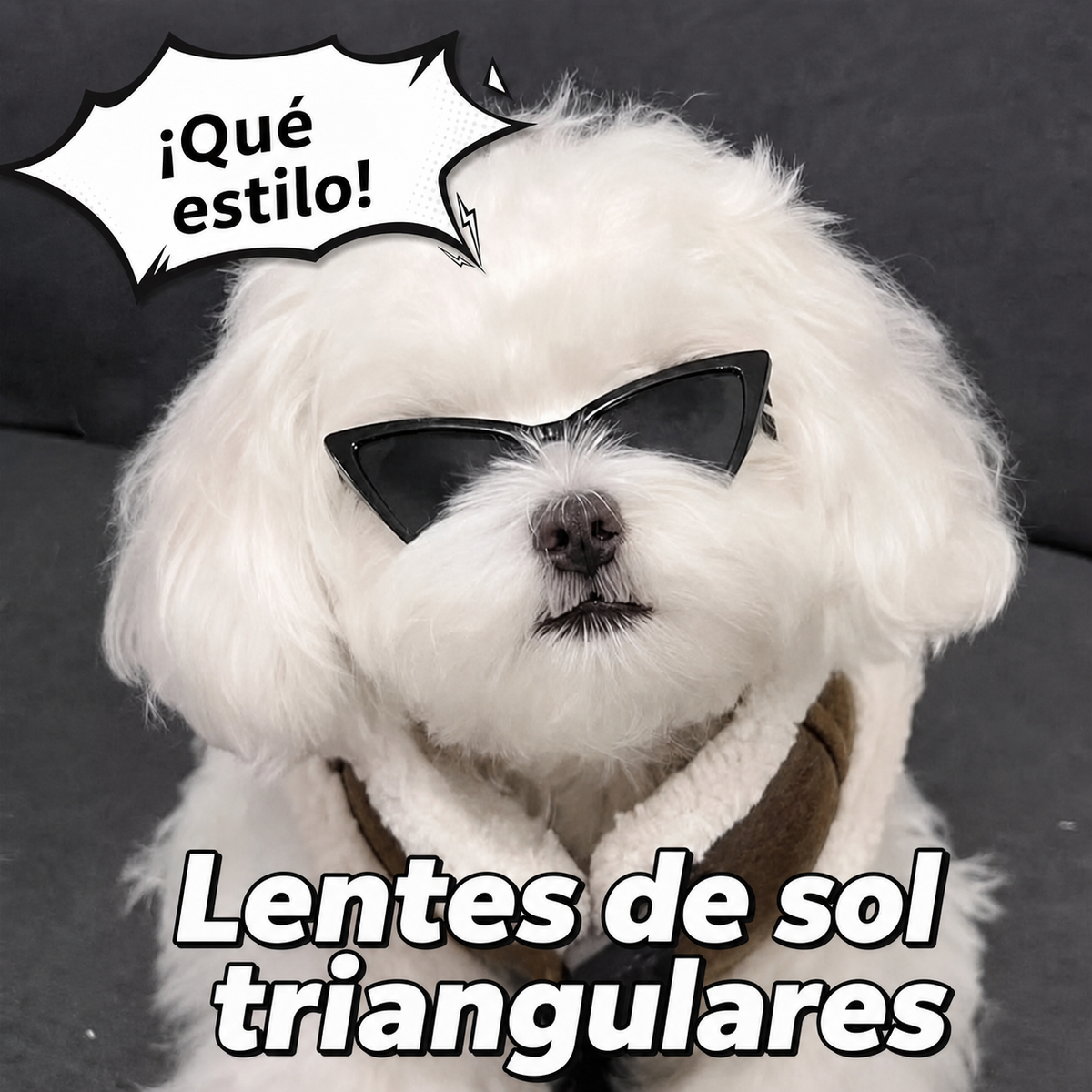 Lentes de sol triangulares para gatos y perros pequeños - 1