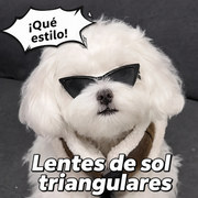 Lentes de sol triangulares para gatos y perros pequeños - 1