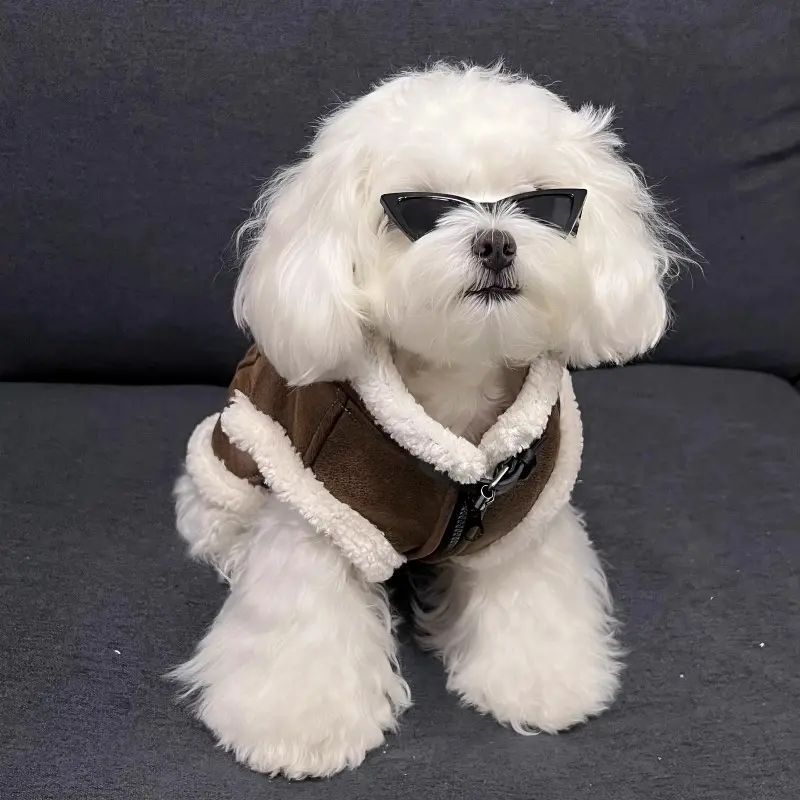 Lentes de sol triangulares para gatos y perros pequeños - 4
