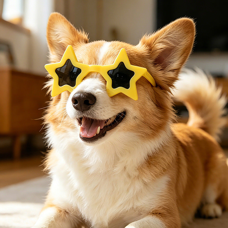 Lentes de sol para perro  y gato forma de estrella UV400 - 1