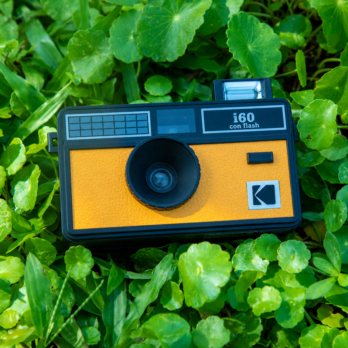 Cámara análoga Kodak i60 con flash | reutilizable