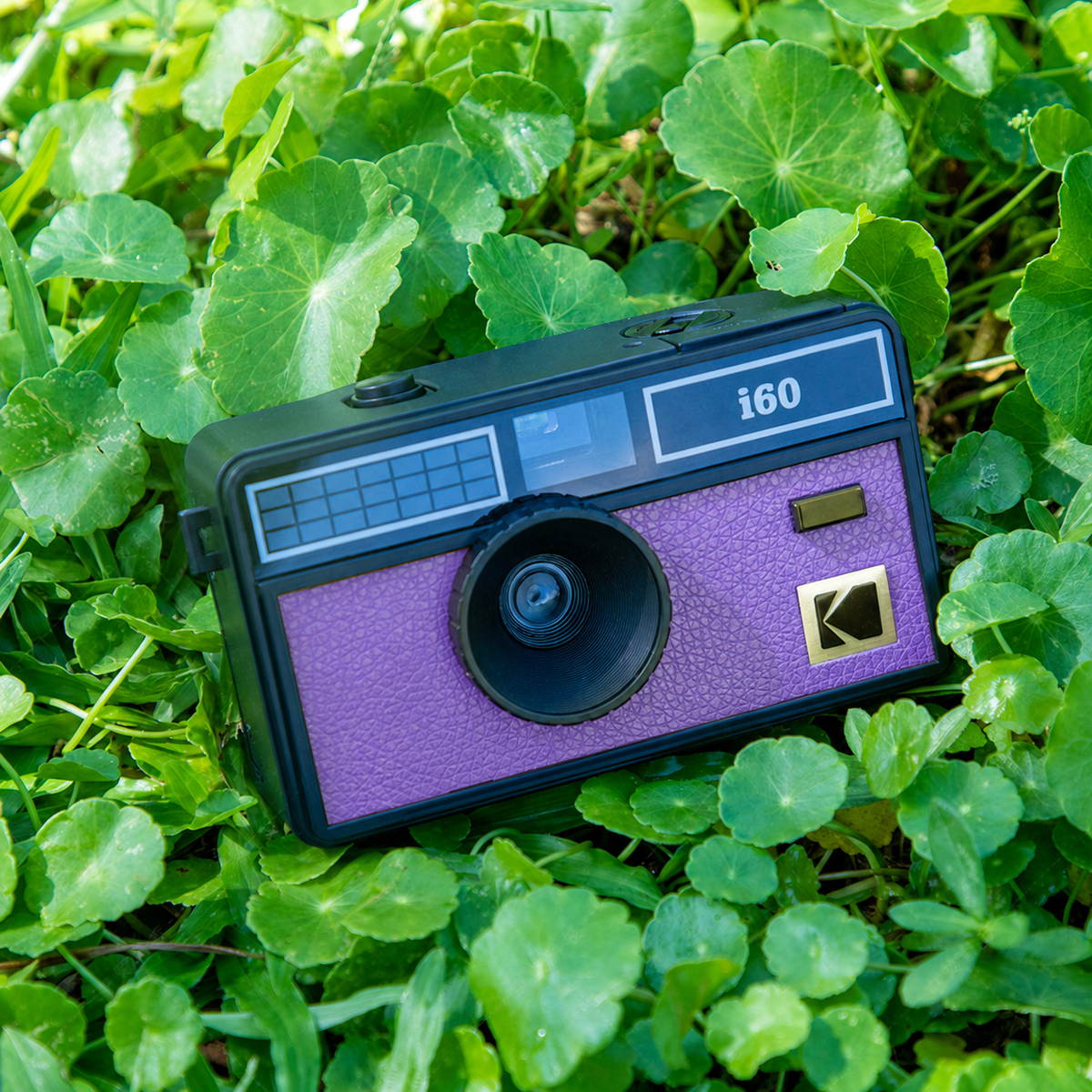 Cámara análoga Kodak i60 con flash | reutilizable
