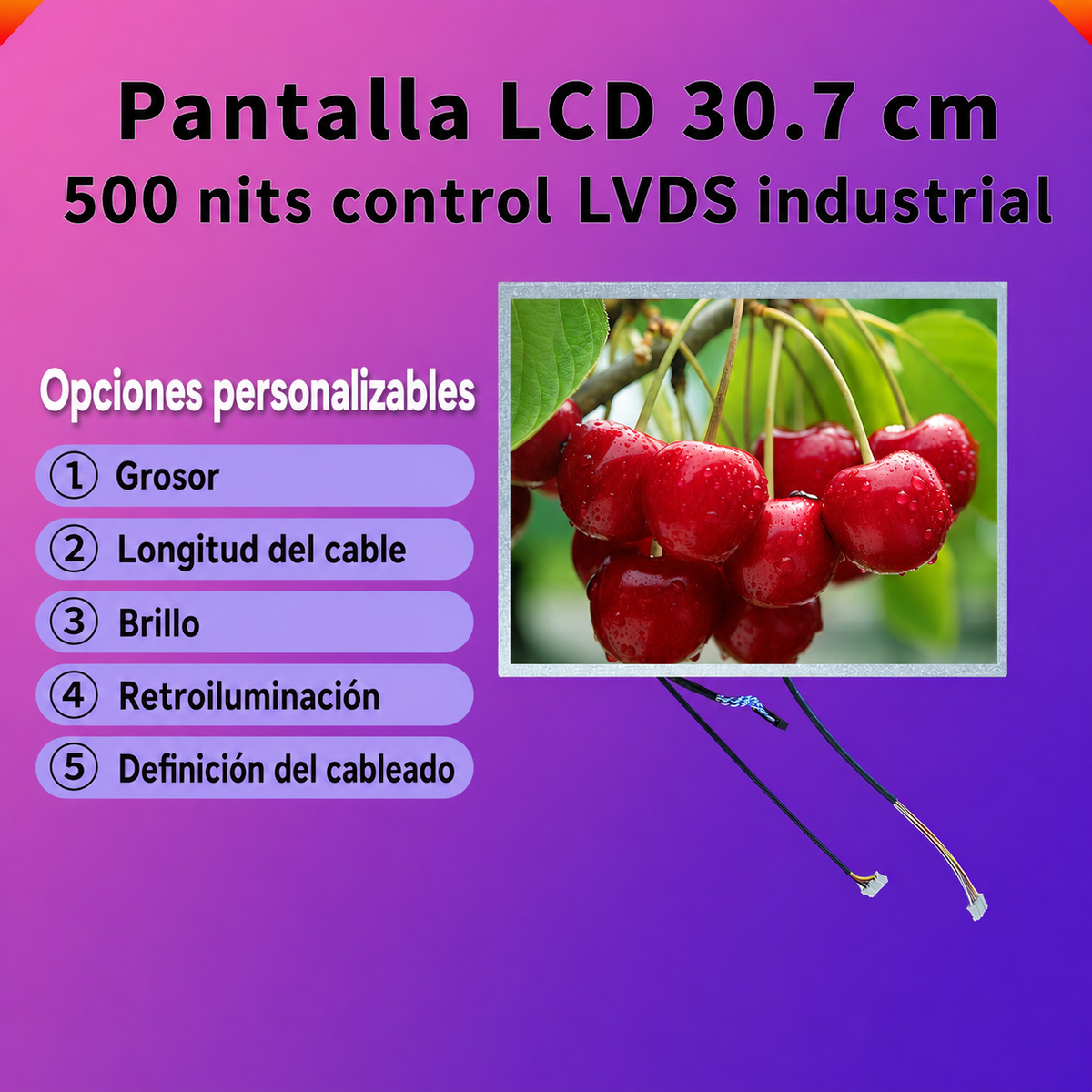 Pantalla LCD 30.7 cm 500 nits LVDS control industrial - 1