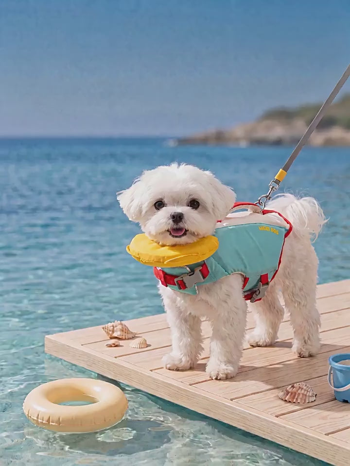 Chaleco Salvavidas para Perro con Alta Flotabilidad