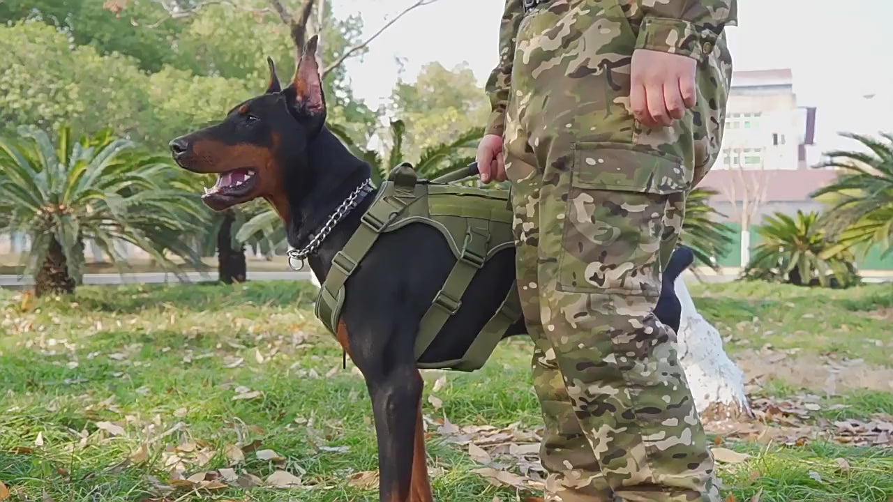 Load video: Military Dog Harness for Training: Breathable &amp; Reflective