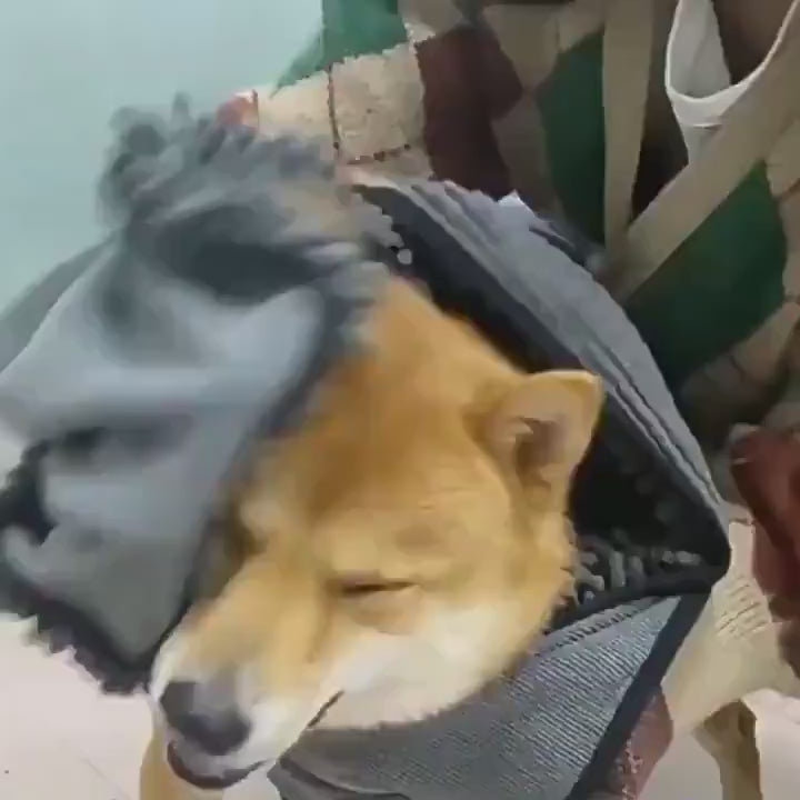 Cargar vídeo: Toalla para Mascotas de Secado Rápido – Absorbente con Bolsillos Tipo Guantes para Perros y Gatos