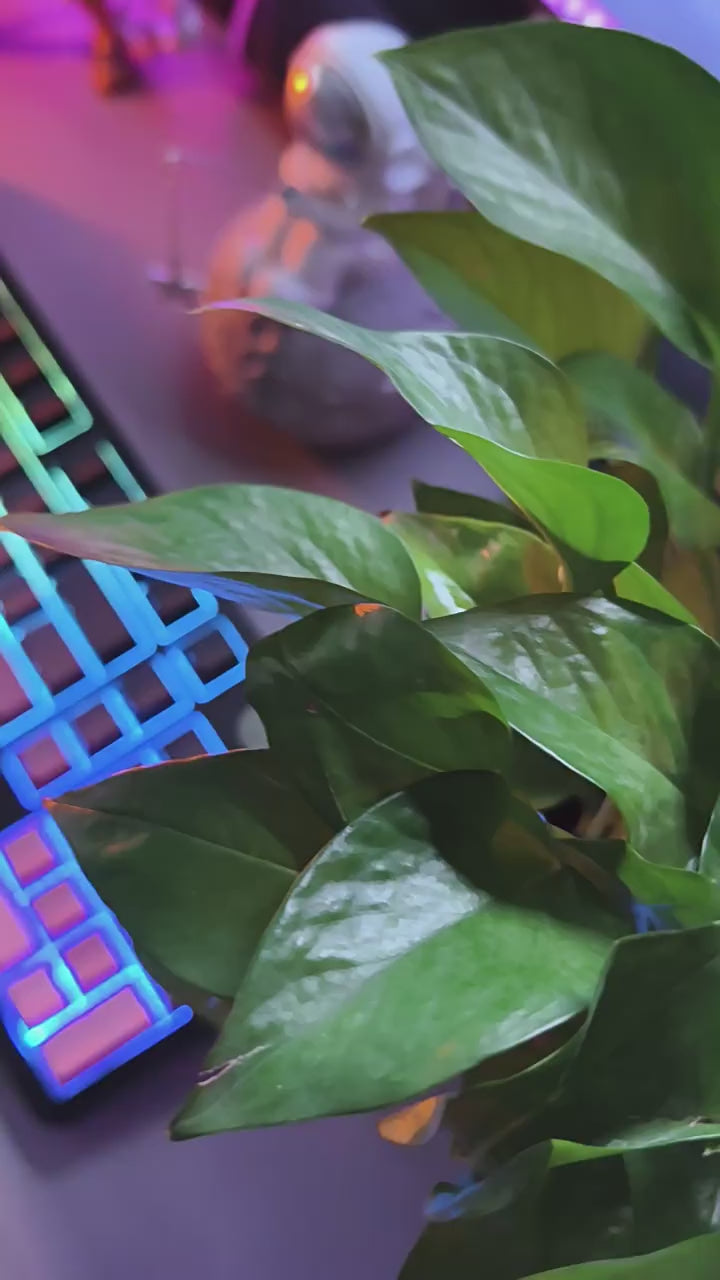 Load video: Teclado Gaming FURYCUBE trimodal