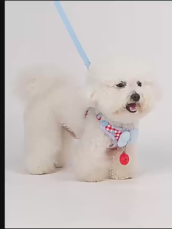 Cargar vídeo: Arnés  con corbatín colorido para Perro