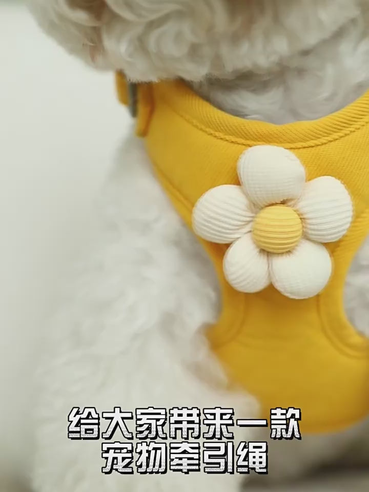 Load video: Pet Walking Leash with Daisy Embroidery and Lace Vest: Small Dog and Cat Harness