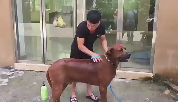 Cargar vídeo: Ducha de Silicona para Mascotas con Masajeador y Accesorios de Instalación