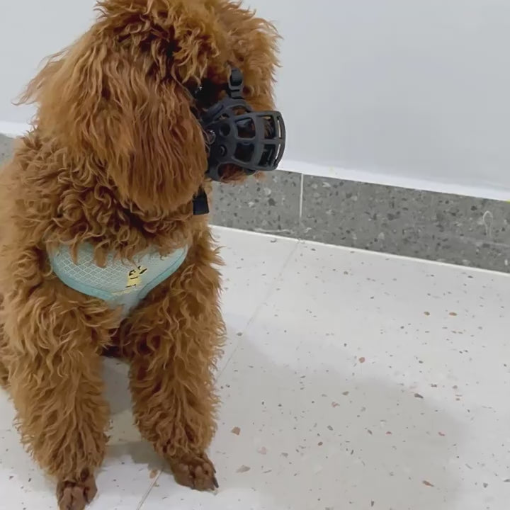Load video: Adjustable Silicone Dog Muzzle for Biting Prevention and Safety