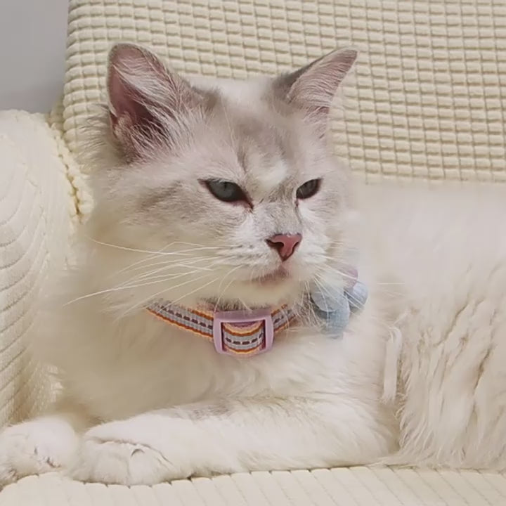 Load video: Small Flower Cat Collar: Reflective, Soft, Durable, Adjustable