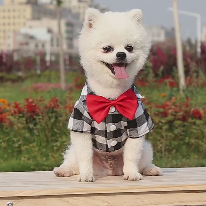 Cargar vídeo: Camisa a Cuadros con pajarita para Perros y Gatos: Ropa para Mascotas en Diversos Tamaños