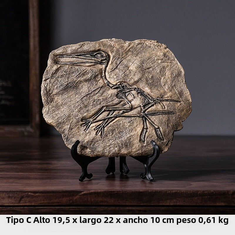 Fósiles de Dinosaurio para Decoración Infantil