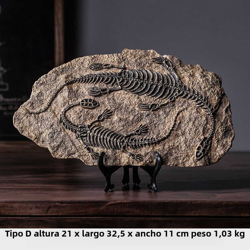 Fósiles de Dinosaurio para Decoración Infantil