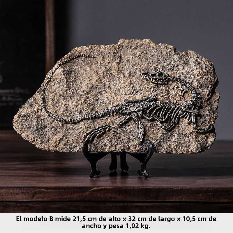 Fósiles de Dinosaurio para Decoración Infantil