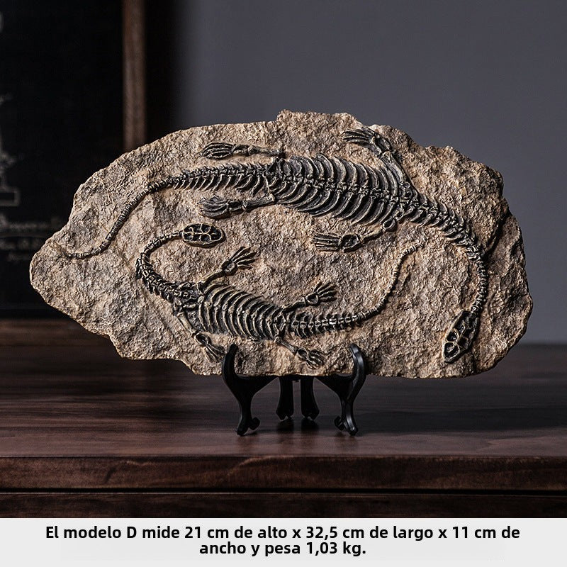 Fósiles de Dinosaurio para Decoración Infantil