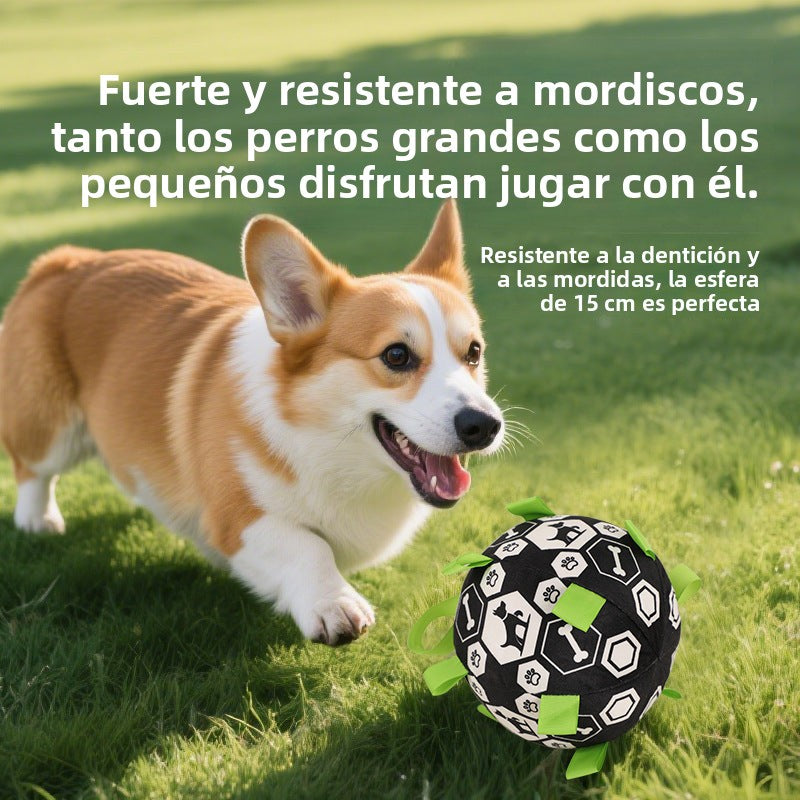 Durable Pet Toy Ball: Sound, Chew, and Training Dog Outdoor Ball