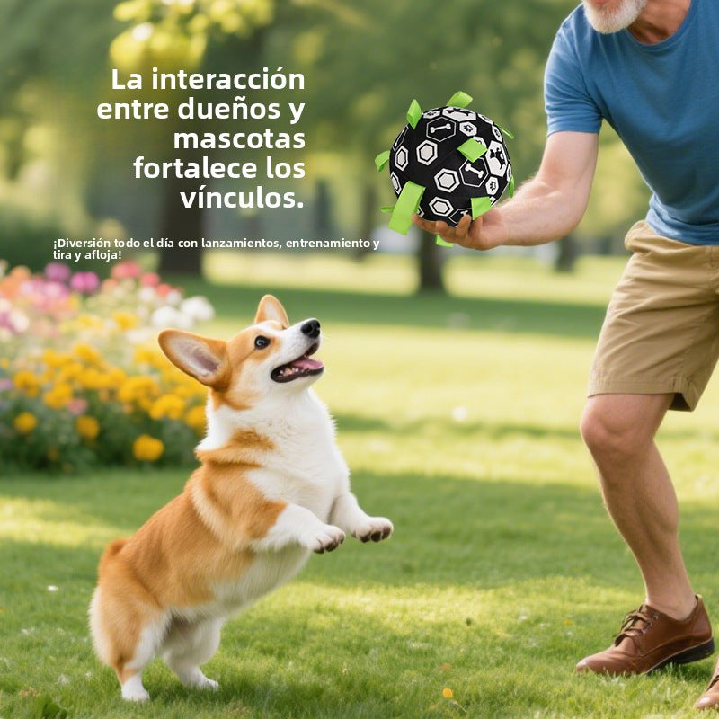Durable Pet Toy Ball: Sound, Chew, and Training Dog Outdoor Ball